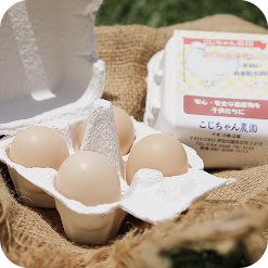 烏骨鶏の卵の写真